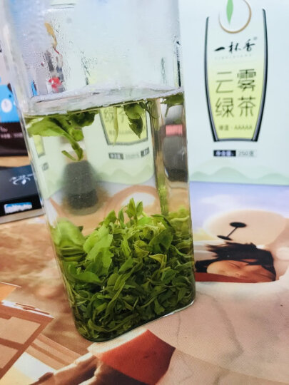 一杯香茶叶2024新茶云雾绿茶500g明前春茶毛尖日照足嫩芽自己喝送礼袋 晒单图