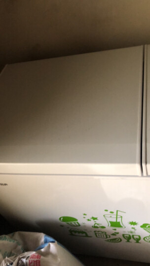 容声（Ronshen） 208升大容量冰柜家用商用冷藏冷冻双温冷柜 一级能效 卧式厨房冰箱BCD-208MS/A 晒单图