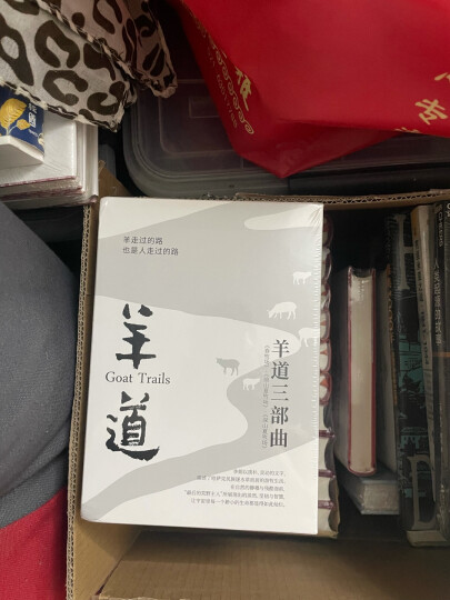 甲骨文丛书·伊莎贝拉：武士女王 晒单图