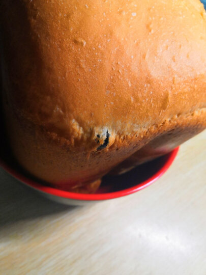 东菱（Donlim）面包机全自动撒果料烤面包机家用早餐机蛋糕机DL-T06S-K 晒单图