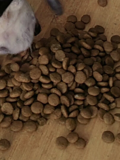 伯纳天纯狗粮经典中大型犬成年犬狗粮12月龄以上15kg 金毛哈士奇阿拉斯加 晒单图