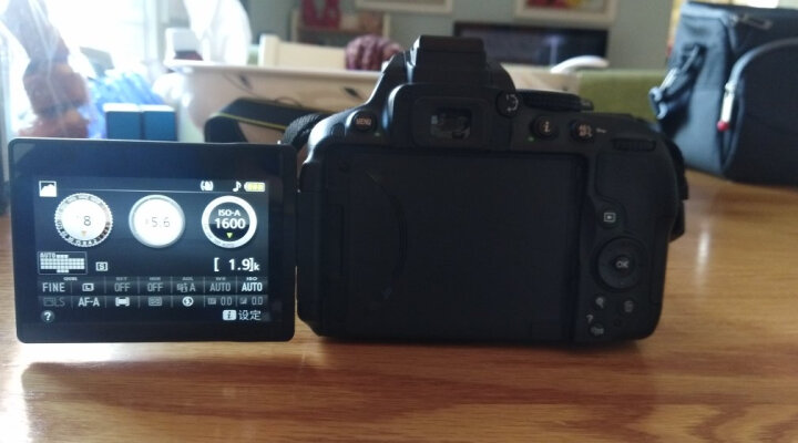 尼康（Nikon）D5300单反数码照相机 入门级双镜头套机（AF-P DX 18-55mm f/3.5-5.6G VR+DX 35/1.8G镜头） 晒单图