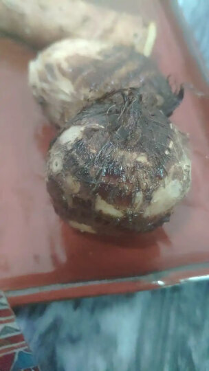 山东农特产 牛奶小芋头 约1kg 毛芋头 芋艿 新鲜蔬菜 健康轻食 火锅食材 晒单图