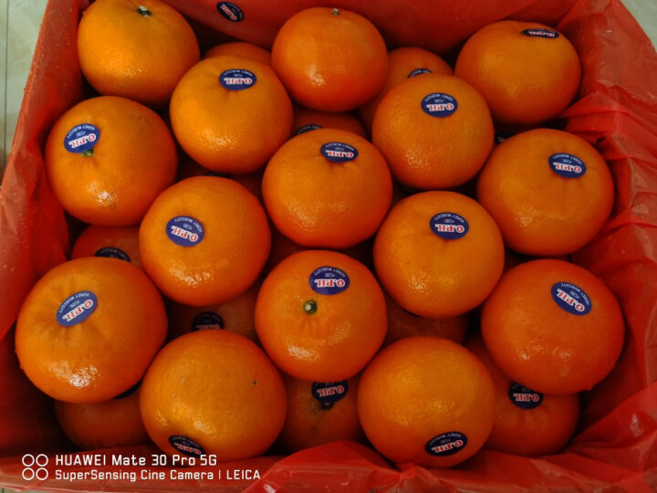 澳洲品种沃柑橘澳橘 重8斤礼盒装 大果桔子当季新鲜水果 晒单图