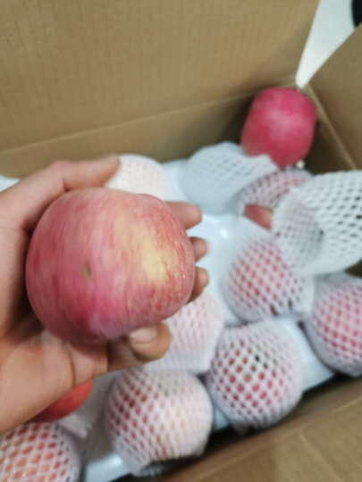 佳农 烟台红富士苹果 12个装 单果重约200g 新鲜水果 生鲜礼盒 晒单图