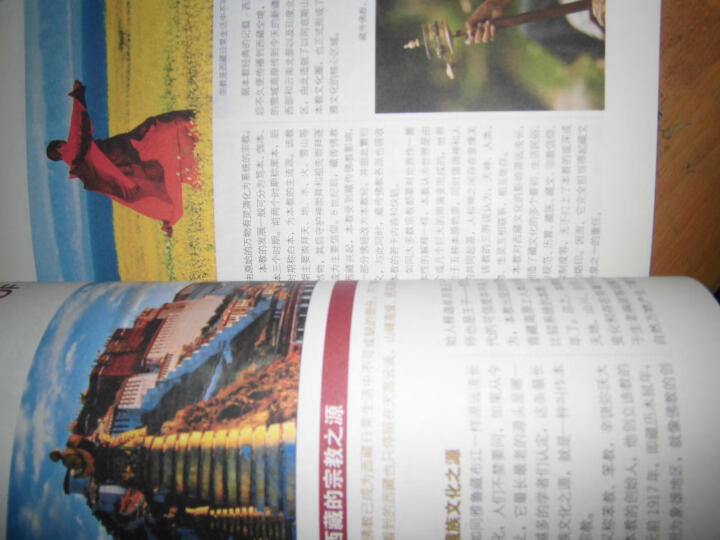 走遍中国：西藏（第四版） 晒单图