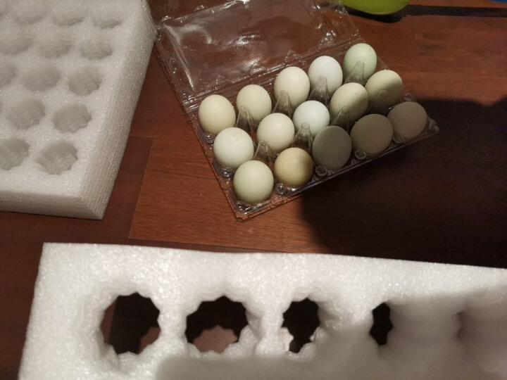 密园小农 绿壳乌鸡蛋 10枚 约0.5kg 晒单图