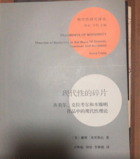 一切坚固的东西都烟消云散了：现代性体验（现代性研究译丛） [美]马歇尔·伯曼 著 徐大健 张辑 译 商务印书馆 晒单图