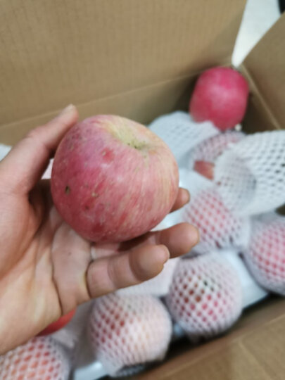 佳农 烟台红富士苹果 12个装 单果重约200g 新鲜水果 生鲜礼盒 晒单图