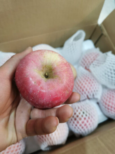 佳农 烟台红富士苹果 12个装 单果重约200g 新鲜水果礼盒 晒单图
