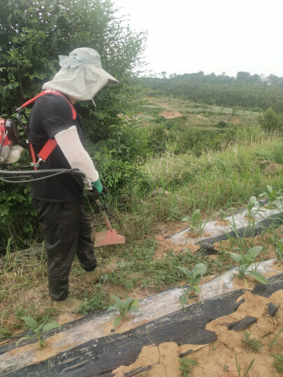 森牛（SENNIU）德国割草机汽油机四冲程背负式除草锄地松土微耕种植打草电动农具 锄除草轮(带加厚齿轮箱) 晒单图