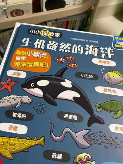 小小探险家翻翻书：不可思议的身体/五花八门的交通工具（套装共2册）乐乐趣3-6岁儿童科普认知卡通翻翻书 晒单图