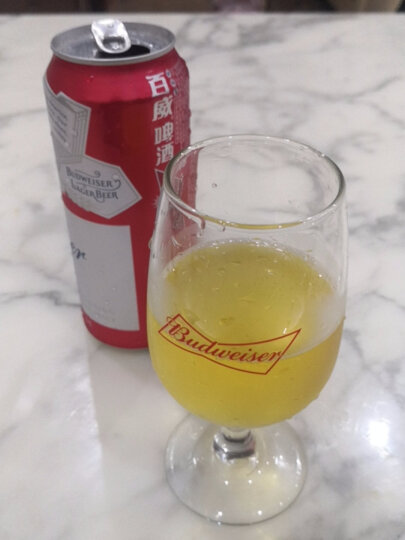 百威（BUDWEISER）听装啤酒 麦芽熟啤黄啤450ml*20罐 晒单图