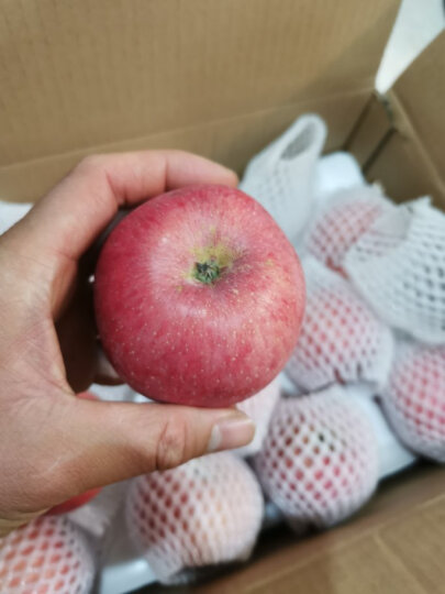 佳农 烟台红富士苹果 12个装 单果重约200g 新鲜水果礼盒 晒单图