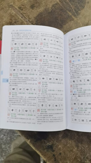 新华大字典 第3版单色版 小学生多功能字典  2020年新版中小学生专用辞书工具书字典词典小学生工具书 晒单图