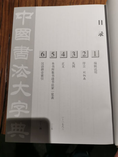 新编中国书法大字典 晒单图