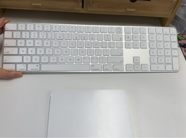Apple 带有数字小键盘的妙控键盘 - 中文 (拼音) - 银色 适用MacBook 无线键盘 晒单图
