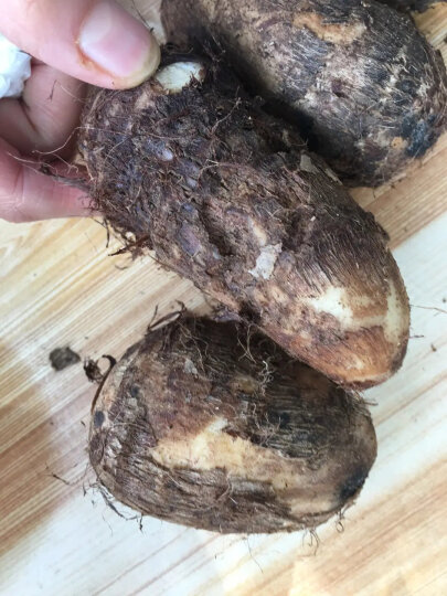 家美舒达 滕州小土豆 山东特产 小土豆 马铃薯 2.5kg 产地直供 健康轻食 新鲜蔬菜 晒单图