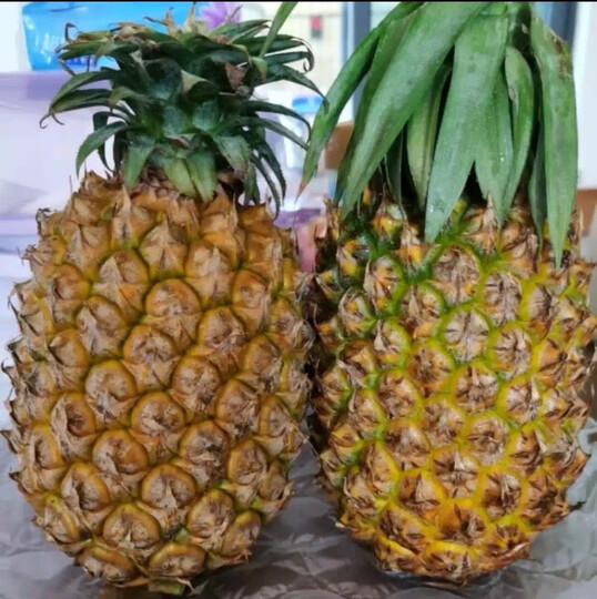 菲律宾菠萝 中果2个装 单果约1kg起 新鲜水果 晒单图