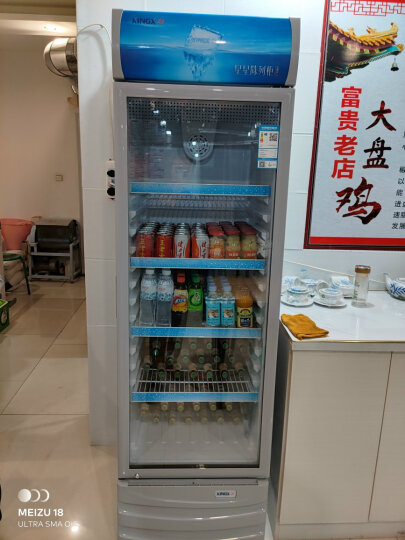 星星（XINGX） 236升 立式玻璃门冷柜 饮料陈列柜 商用冷藏冰箱（银灰色） LSC-236C 晒单图