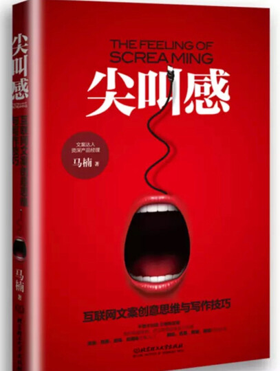 尖叫感:互联网文案创意思维与写作技巧 晒单图