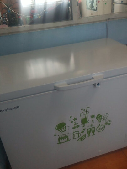 容声（Ronshen） 309升大容量冰柜家用商用冷藏冷冻转换单温冷柜 一级能效 雪糕冰柜 厨房冰箱BD/BC-309MD 晒单图