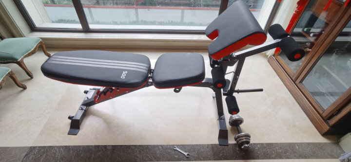 多德士（DDS）哑铃凳健身卧推椅子飞鸟凳多功能仰卧起坐健身器材训练器DDS201 晒单图