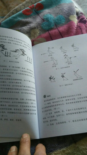 【正版包邮】图解树木盆景制作与养护 树木盆景盆栽制作教程书 养花盆景造型书 晒单图