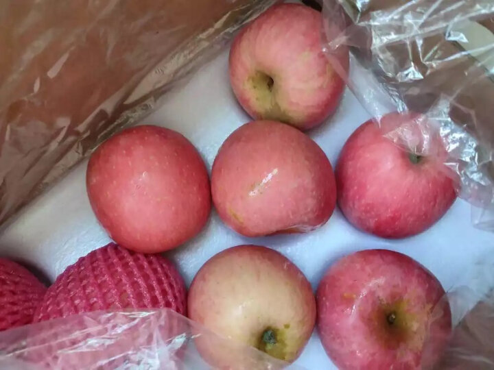 京鲜生 烟台红富士苹果12个 净重2.1kg单果160-190g 水果礼盒 晒单图
