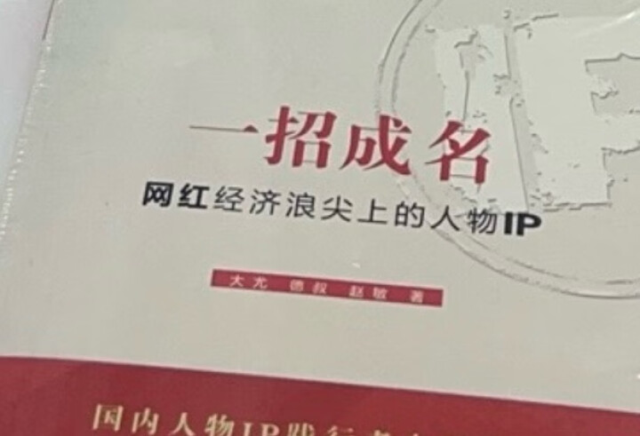 网红揭秘 一个有关电子商务、零售业和社交网络的盈利故事(博文视点出品) 晒单图