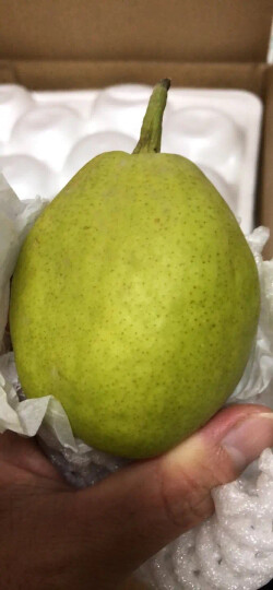 新疆库尔勒香梨 单果100-120 净重2kg  生鲜水果 健康轻食 新老包装随机发出 晒单图