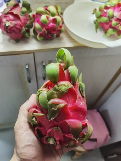 越南进口红心火龙果 4个装 中果 单果300g以上  生鲜水果 晒单图