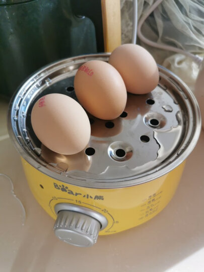 小熊（Bear）煮蛋器 蒸蛋器 定时 自动断电 小型不锈钢多功能 双层煮鸡蛋早餐神器ZDQ-A14X2 晒单图