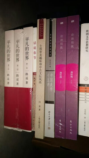 寻路中国——从乡村到工厂的自驾之旅(译文纪实) 晒单图
