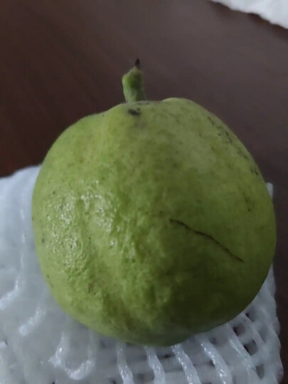 新疆库尔勒香梨 单果100-120 净重2kg  生鲜水果 健康轻食 新老包装随机发出 晒单图