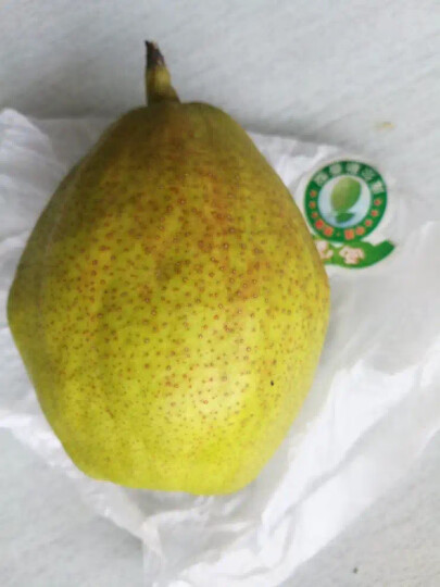 京鲜生 新疆库尔勒香梨6粒 二级 单果80-100g以上 生鲜 新鲜水果 晒单图