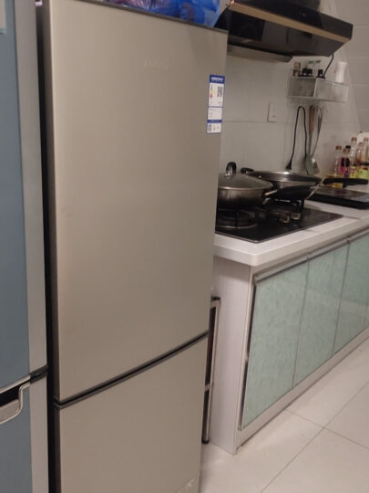 澳柯玛（AUCMA）冰箱家用租房用双开门电冰箱双门小冰箱二门小型冰箱节能低噪176升 以旧换新 BCD-176NE 晒单图