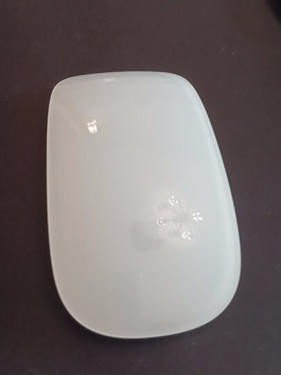 Apple/苹果 Magic Mouse 妙控鼠标 Mac鼠标 无线鼠标 办公鼠标 晒单图