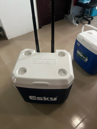 ESKY 保温箱商用家用车用车载冷藏冰块保存箱户外冰桶生鲜保鲜外卖箱 52L（PU材质）送：2冰板+6冰袋 晒单图
