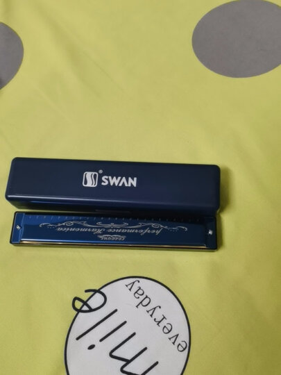 天鹅SWAN 24孔复音教学口琴C调（音位标注）天空蓝 晒单图