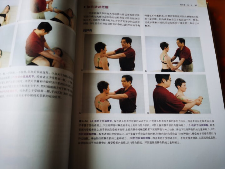 西方现代临床按摩系列·功能解剖：肌与骨骼的解剖、功能及触诊 晒单图