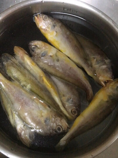 三都港 三去深海宁德大黄花鱼1kg/2条装 生鲜 鱼类 国产海鲜水产 健康轻食 晒单图