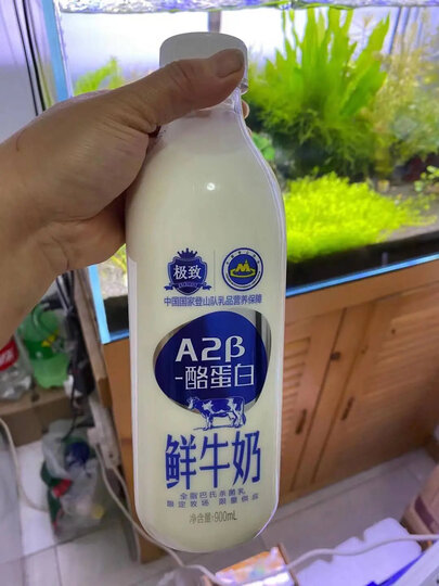 三元 极致 有机全脂鲜奶 900ml 巴氏杀菌鲜牛奶 晒单图