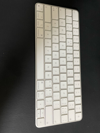 Apple/苹果 Magic Keyboard 妙控键盘-中文 (拼音)  Mac键盘 办公键盘 适用iPhone/iPad/Mac 晒单图