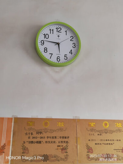 北极星（POLARIS） 挂钟 时尚创意客厅钟表 简约石英钟12英寸2842绿色 晒单图