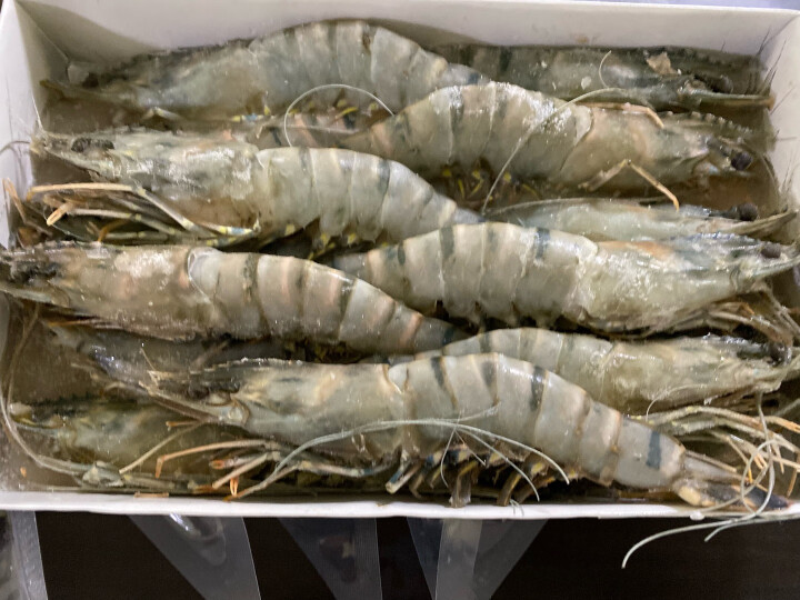 京鲜生活冻黑虎虾 海鲜礼盒 大虾虎虾斑节虾 1kg 7-10个头 长23cm 晒单图