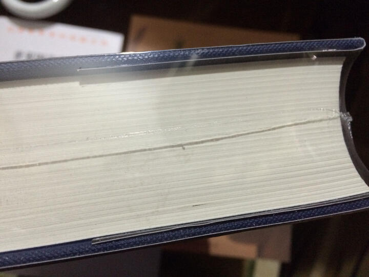 两希文明哲学经典译丛:论凝思的生活 晒单图
