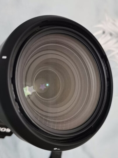 天气不错 67mm近摄镜Close-up+4 4倍微距镜微拍增距镜 适合佳能18-135尼康18-105富士索尼单反微单相机镜头 晒单图