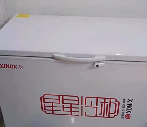 星星（XINGX） 219升小型冰柜家用 冷藏冷冻转换冷柜 商用大容量单温单箱低霜 顶开门冰箱 BD/BC-219E 晒单图