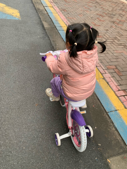 凤凰（Phoenix）儿童自行车 4-6-10-13岁童车女款公主款中大童宝宝单车 粉色/带后衣架 18寸 晒单图